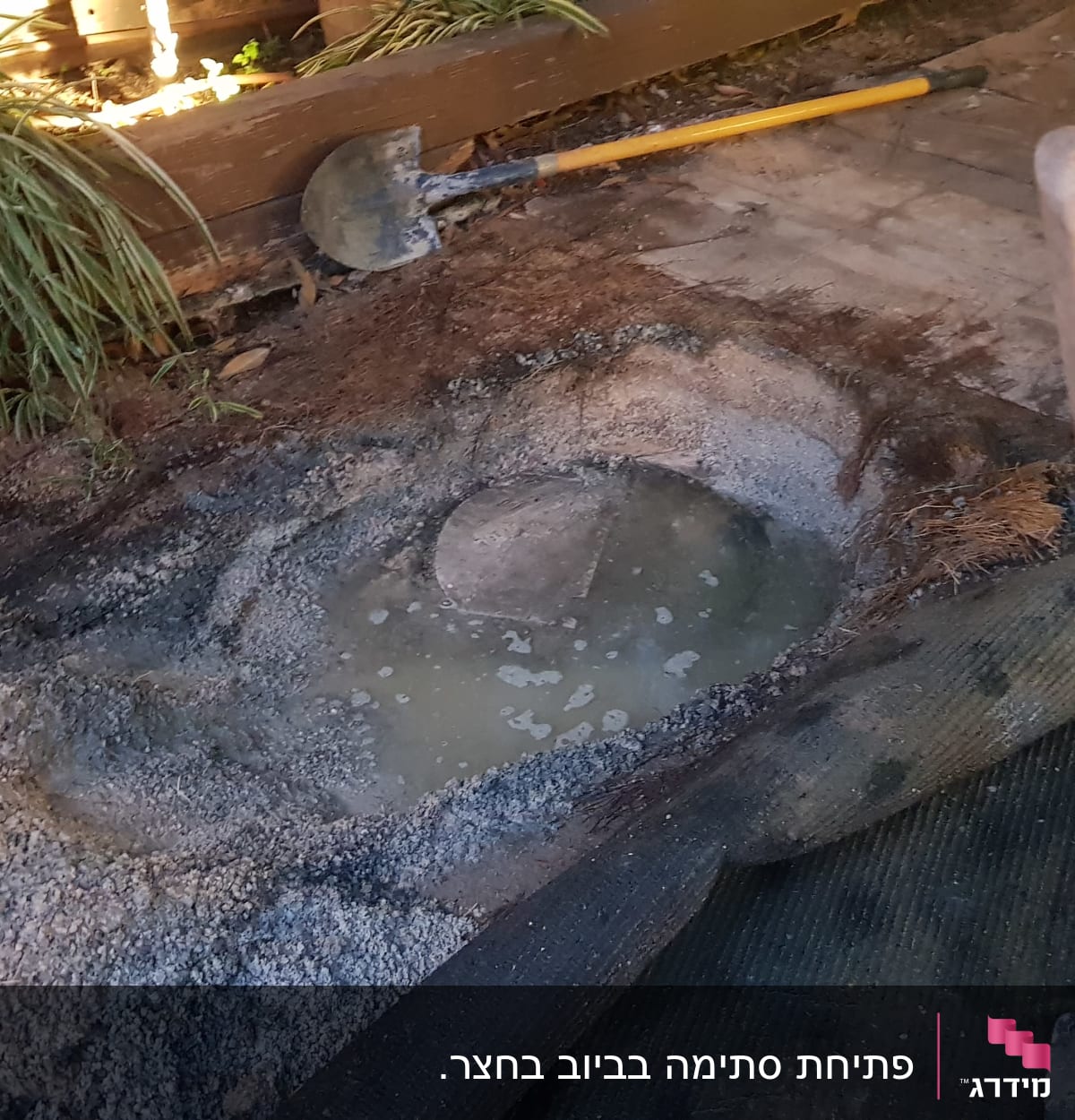 בור הביוב שהוצף